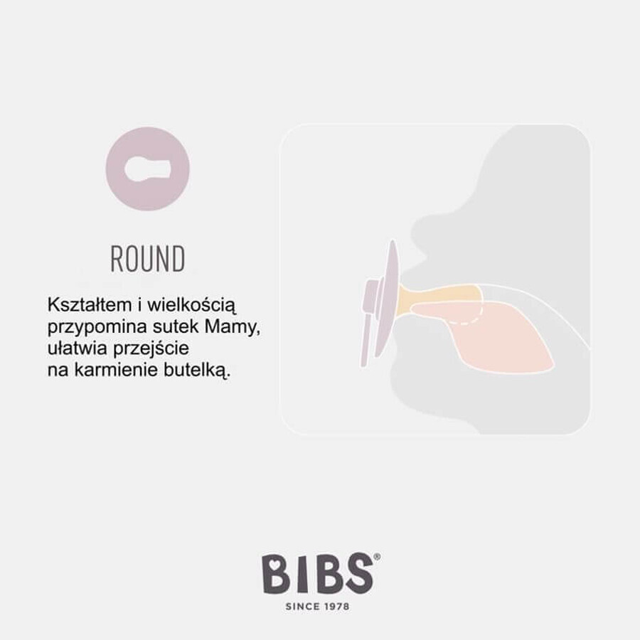 Bibs Colour, pacifier, rubber, round, size 2, Sage, from 6 months, 1 pc