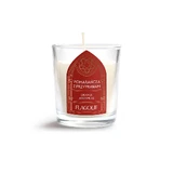Flagolie Celebra la Navidad, vela perfumada de soja, naranja y especias, 70 g