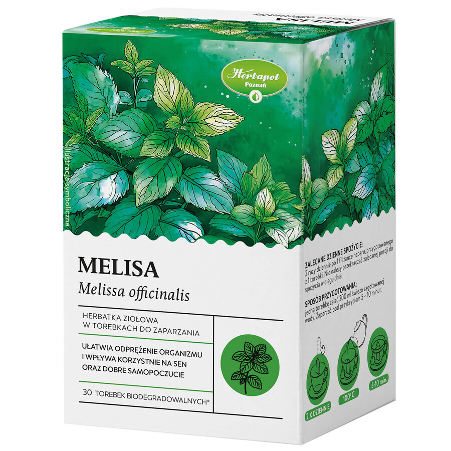 Herbapol Melissa, herbal tea, 30 biodegradable sachets