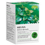 Herbapol Melissa, herbal tea, 30 biodegradable sachets