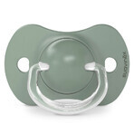 Suavinex A walk in the park SX Pro, fysiologische fopspeen, silicone, olijf, vanaf 18 maanden, 2 stuks Suavinex A walk in the park SX Pro, fysiologische fopspeen, silicone, olijf, vanaf 18 maanden, 2 stuks