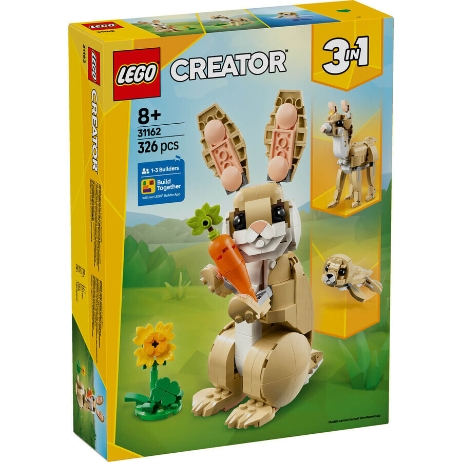 Lapins Dragal, 31162, + 8 ans, Lego