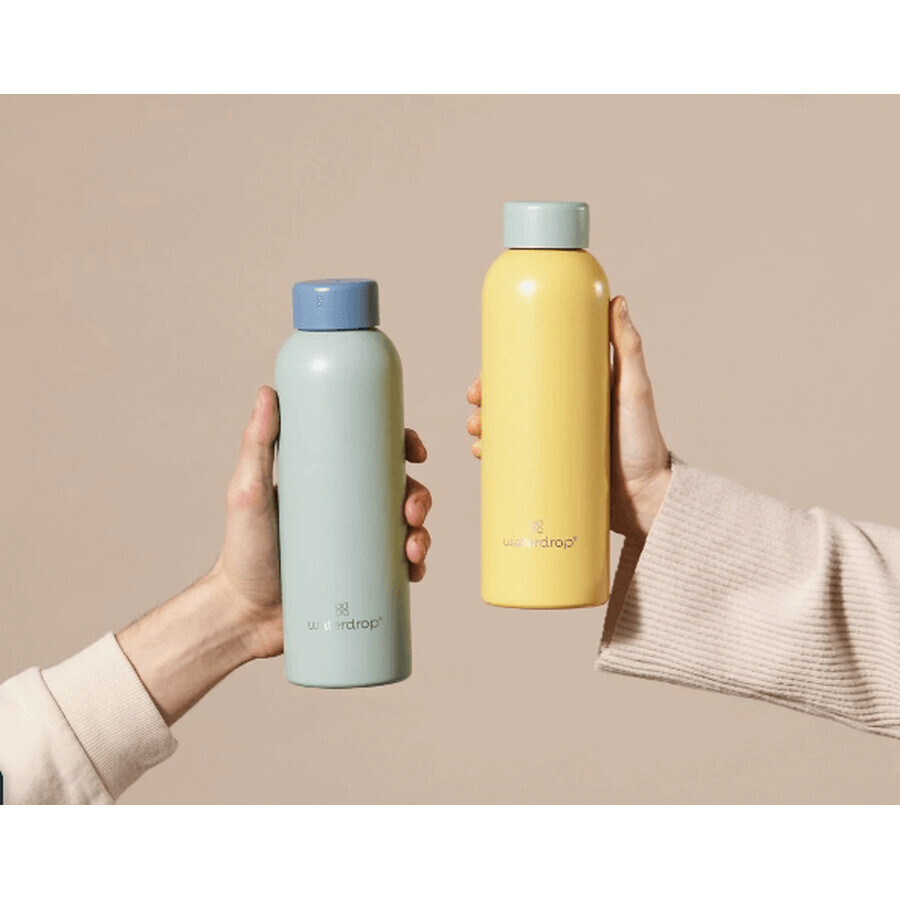 Waterdrop Roestvrijstalen fles, donkerroze mat 600 ml