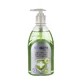 Savon liquide antibactérien à l'extrait d'aloe vera biologique, 400 ml, Epiderm
