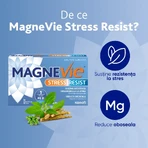 MagneVie Stress Resist met ashwagandha, 2 x 30 tabletten, Sanofi