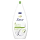 Dove