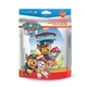 Paw Patrol