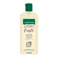 Hydraterende shampoo voor krullend haar Expert Curls Treatment, 250 ml, Gerovital
