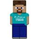 Duschgel und Shampoo 2 in 1, Minecraft Steve, 400 ml, Air Val