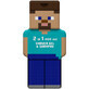 Shower gel and shampoo 2 in 1, Minecraft Steve, 400 ml, Air Val