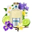 Room Perfume, Jasmine Tuberose, 100 ml, Cashmere Aroma