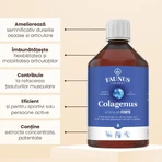 Colagenus Articulatii Forte, 500 ml, Faunus