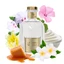 Room Perfume, Leather Vanilla, 100 ml, Cashmere Aroma, Cashmere Aroma