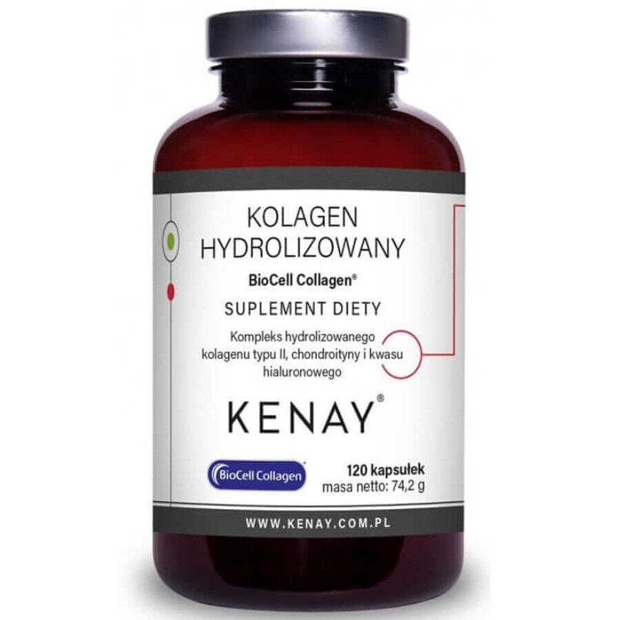 Hydrolyzed Collagen Type II BioCell Collagen 120 capsules Kenay