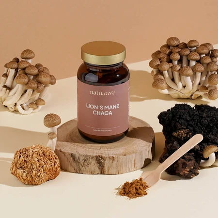 Natu.Care Lion's Mane&Chaga, coneflower y spinneret subcortical, polvo, 45 g