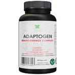 Lanco Nutritions Adaptogeen Hersen- & Energiecomplex, 60 capsules