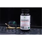 Lanco Nutritions Adaptogeen Hersen- & Energiecomplex, 60 capsules
