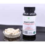 Lanco Nutritions Adaptogeen Hersen- & Energiecomplex, 60 capsules