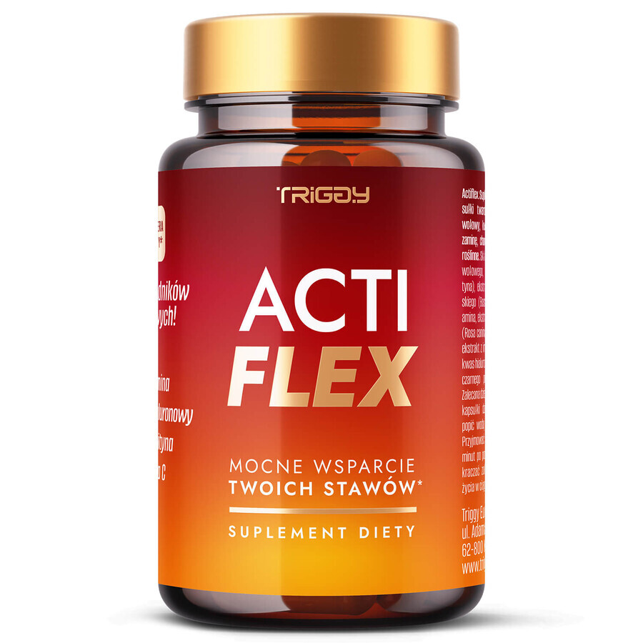 Triggy Acti Flex, 60 capsules