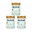 Kendamil Premium 3 HMO+ set, milk for junior, after 12 months, 3 x 800 g