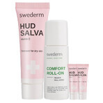 Set Swederm Hudsalva, Ölsalbe mit Vitamin E, trockene Haut, 100 ml + Swederm Comfort Roll, 60 ml + Hudsalva Salbe mit Vitamin E, 2 x 8 ml gratis Set Swederm Hudsalva, Ölsalbe mit Vitamin E, trockene Haut, 100 ml + Swederm Comfort Roll, 60 ml + Hudsalva Salbe mit Vitamin E, 2 x 8 ml gratis