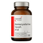OstroVit Pharma Homocysteïne Niveauhulp, 60 capsules OstroVit Pharma Homocysteïne Niveauhulp, 60 capsules