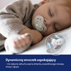 Lovi Night & Day, ciuccio, in silicone, dinamico, Riccio, da 18 mesi, 2 pezzi Lovi Night & Day, ciuccio, in silicone, dinamico, Riccio, da 18 mesi, 2 pezzi