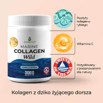 BetterMe Colágeno Marino Silvestre, sabor neutro, 300 g BetterMe Colágeno Marino Silvestre, sabor neutro, 300 g