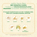 BoboVita Porcja Zbóż Flocons d'avoine lactés au riz, framboise-banane, sans sucre ajouté, après 6 mois, 210 g