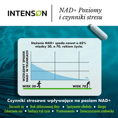 Intenson NR, Nicotinamid-Ribosid-Chlorid, 30 Kapseln