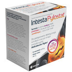 Intesta Pylostat, 2,72 g x 14 sachets Intesta Pylostat, 2,72 g x 14 sachets