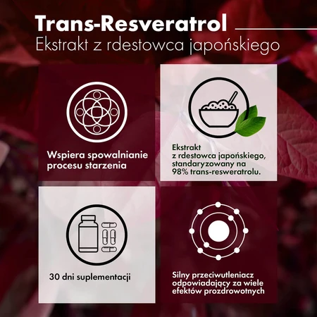 Intenson resveratrol de knotweed japonés, 60 cápsulas