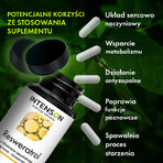 Resveratrolo Intenson dall'alga giapponese, 60 capsule Resveratrolo Intenson dall'alga giapponese, 60 capsule