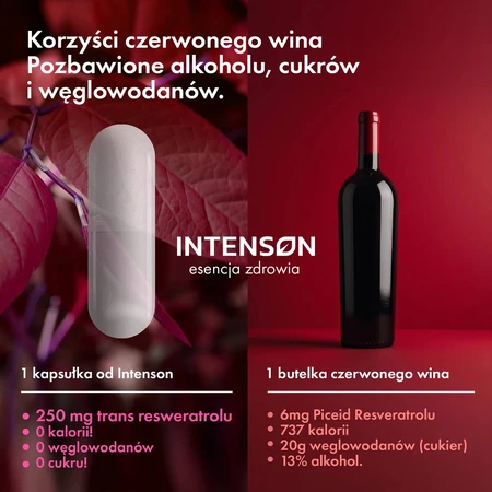 Intenson resveratrol de knotweed japonés, 60 cápsulas