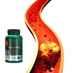 Lanco Nutritions Cholesterol Max, 60 gélules