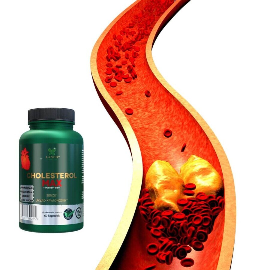 Lanco Nutritions Cholesterol Max, 60 gélules