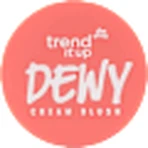 trend !t up Colorete Dewy Cream Dewy 010, 2 g