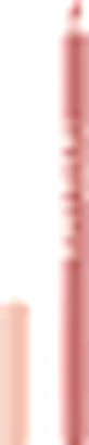 MAYBELLINE NEW YORK Lifter Liner Perfilador de Labios 06 Line Leader, 1,2 g
