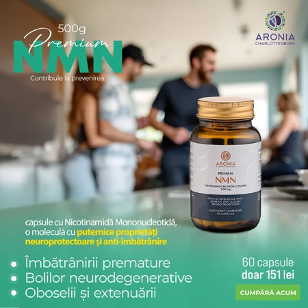 NMN Premium, 500 mg, 60 Kapseln, Aronia Charlottenburg
