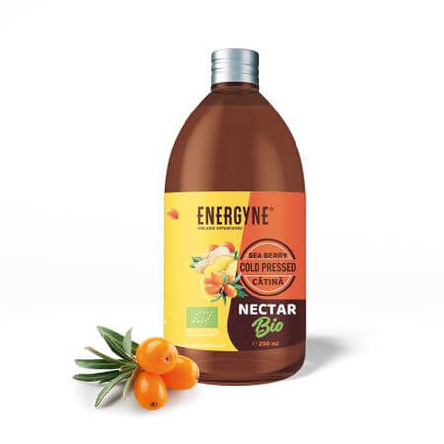 Organic Nectar with Ginger Energyne, 250 ml, BioCatina
