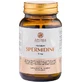 Spermidin Premium, 3 mg, 60 Kapseln, Aronia Charlottenburg