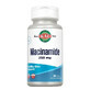 Niacinamide, 250 mg, 100 tablets, Secom