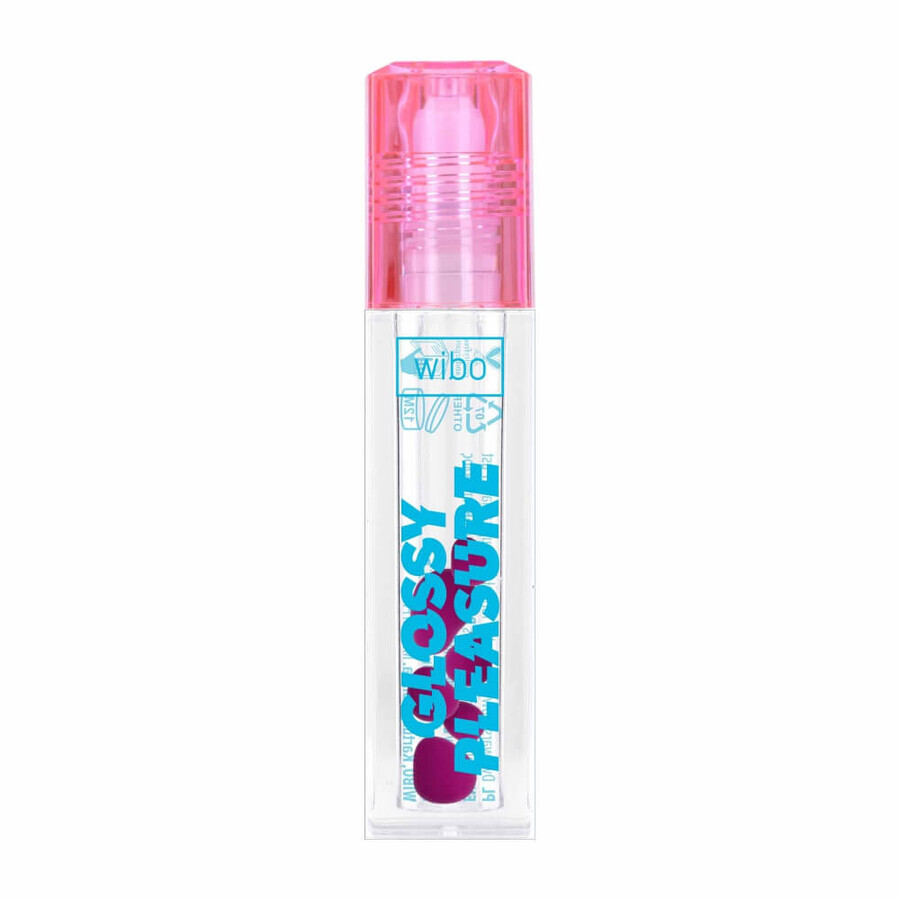 Acquista Wibo Glossy Pleasure Lip Gloss 3, 5 ml Wibo Glossy Pleasure Lip Gloss 3, 5 ml