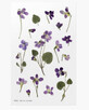 Decorative stickers flowers Violet