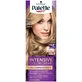 Palette Hair dye BW12