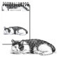 Sketchbook A6 vertical on spiral Cat 60K 120 gsm Narcissus