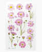 Decorative stickers flowers Cosmos Aster