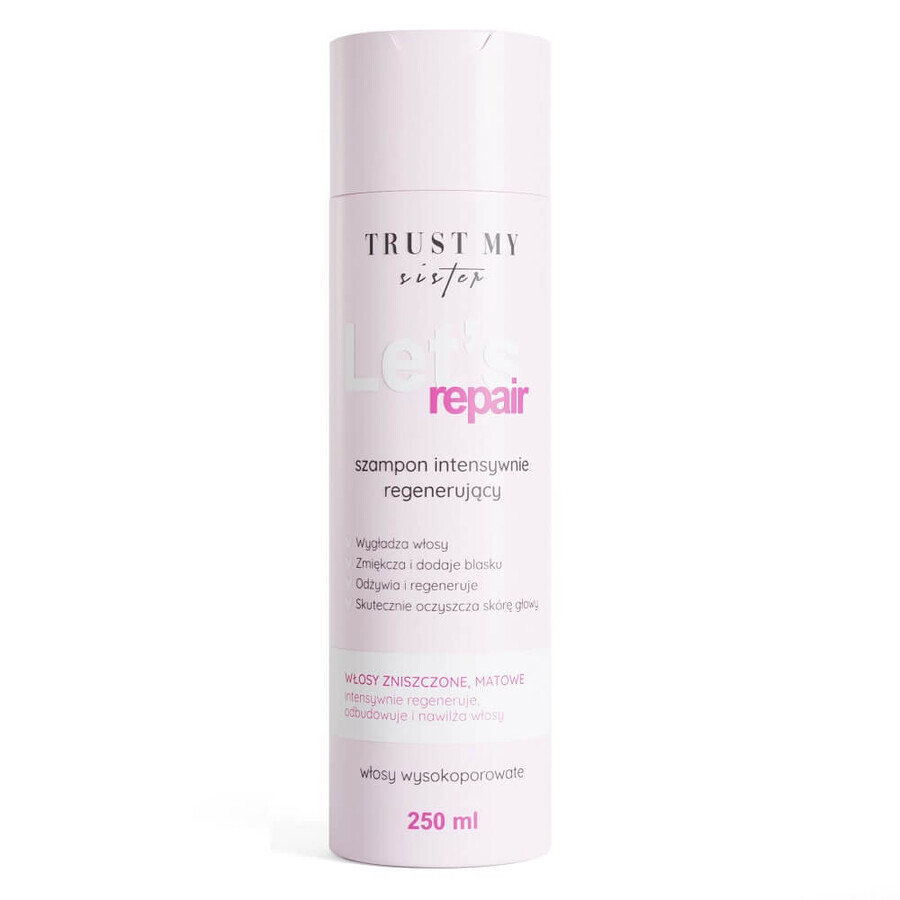 Boutique Trust My Sister Let's Repair Shampooing réparateur intensif pour cheveux très poreux, 250 ml Trust My Sister Let's Repair Shampooing réparateur intensif pour cheveux très poreux, 250 ml