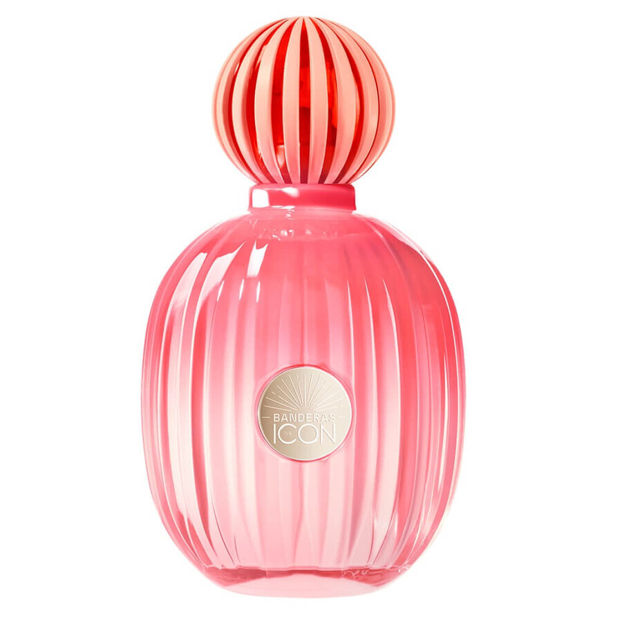 Shop Antonio Banderas The Icon Splendid Eau de Parfum, 100 ml Antonio Banderas The Icon Splendid Eau de Parfum, 100 ml