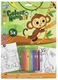 Color by number with crayons Monkey